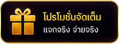 โปรโมชั่นจัดเต็ม